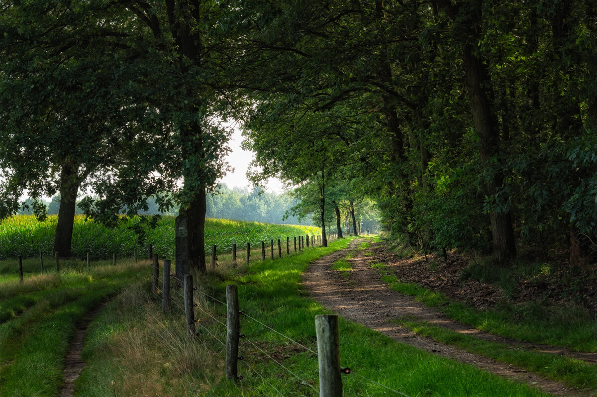 Картинка с бесплатного фотостока https://unsplash.com, автор Peter Herrmann