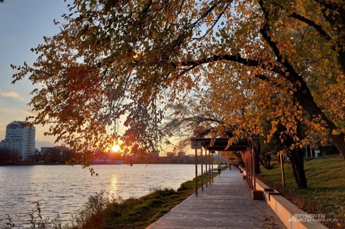    Вильфанд: столичный регион ожидает очень яркая осень