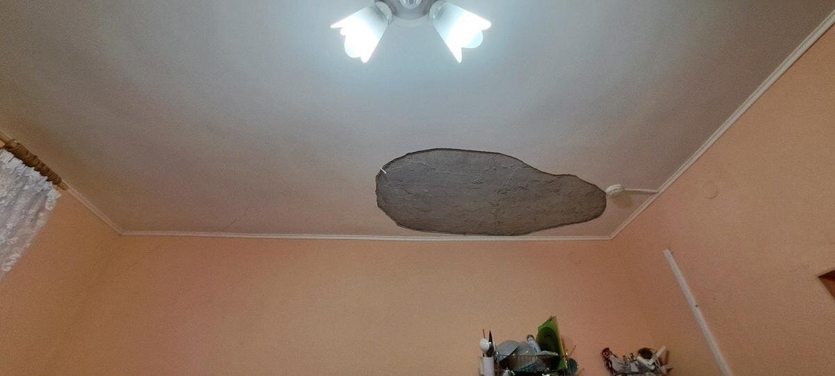 Фото предоставлено Василиной Брюзгиной