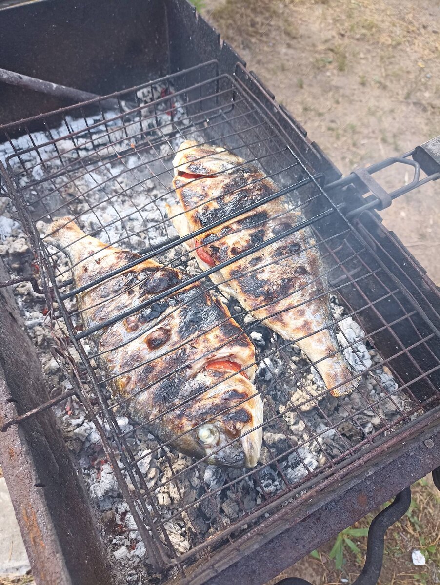Как же я люблю рыбку