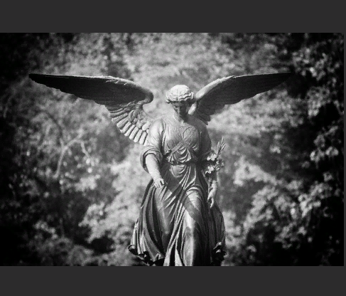 Взято из свободных источников