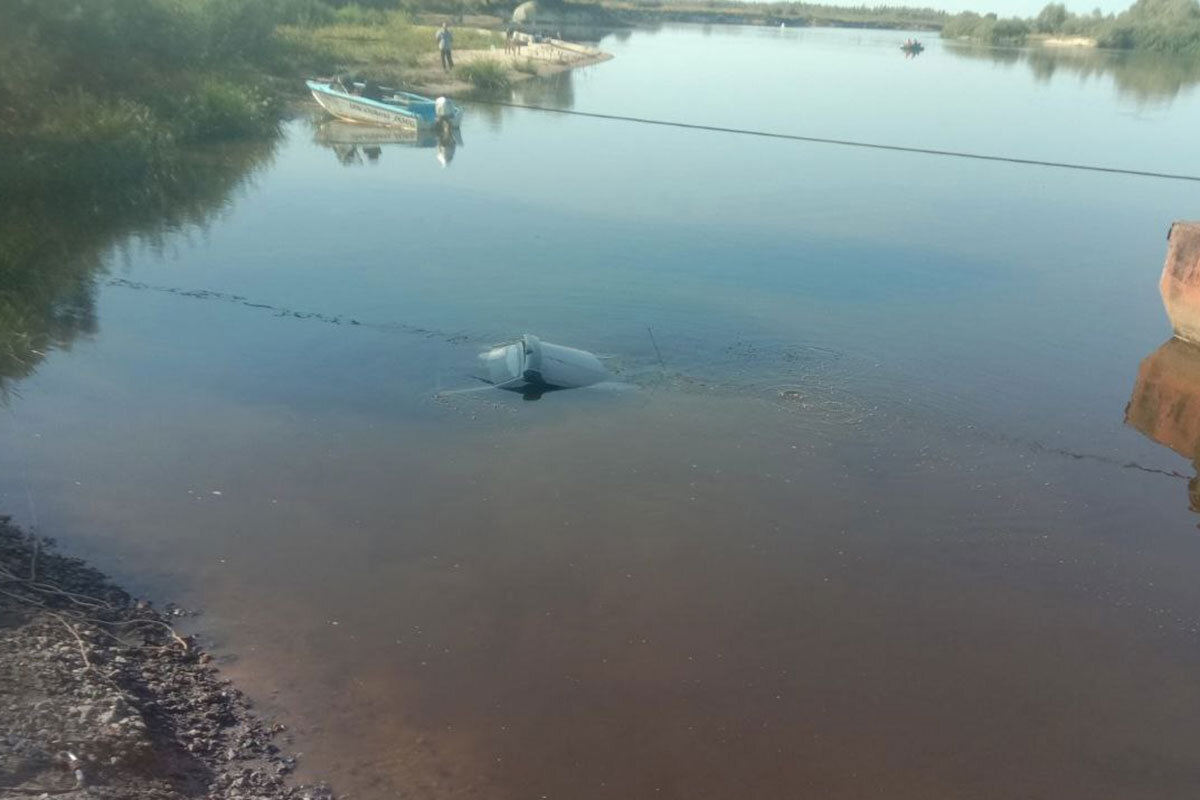    Фото: ОСВОД по Гомельской области