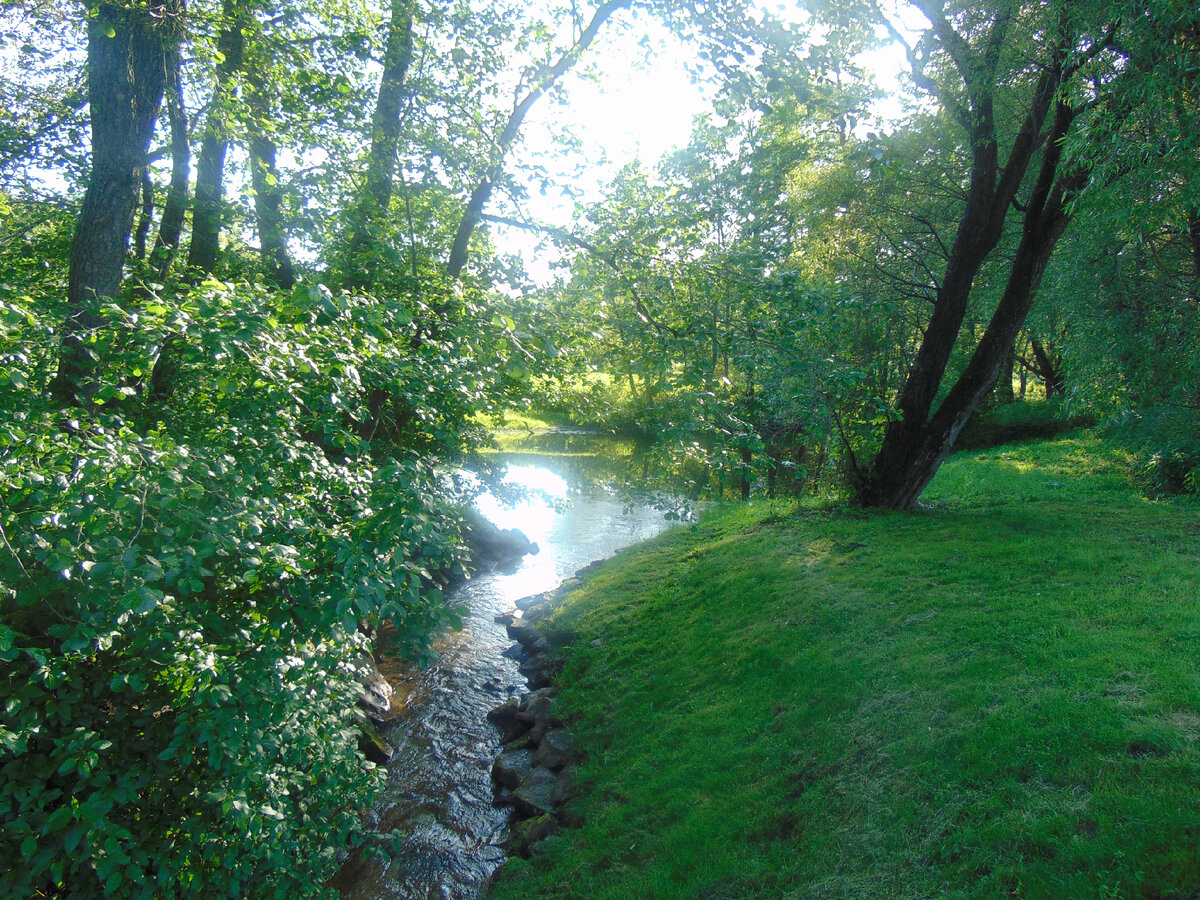 Фото автора канала