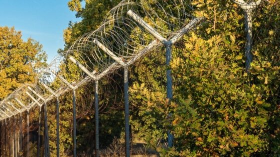    В Литве заявили, что построят заграждение на границе с Россией даже на болотах Анна Белая