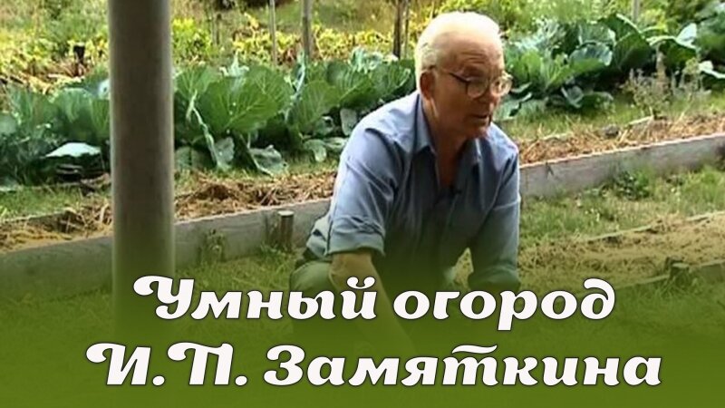 Умный огород И.П. Замяткина: участок не знает лопаты уже 20 лет, а дает по 2 тонны овощей с сотки