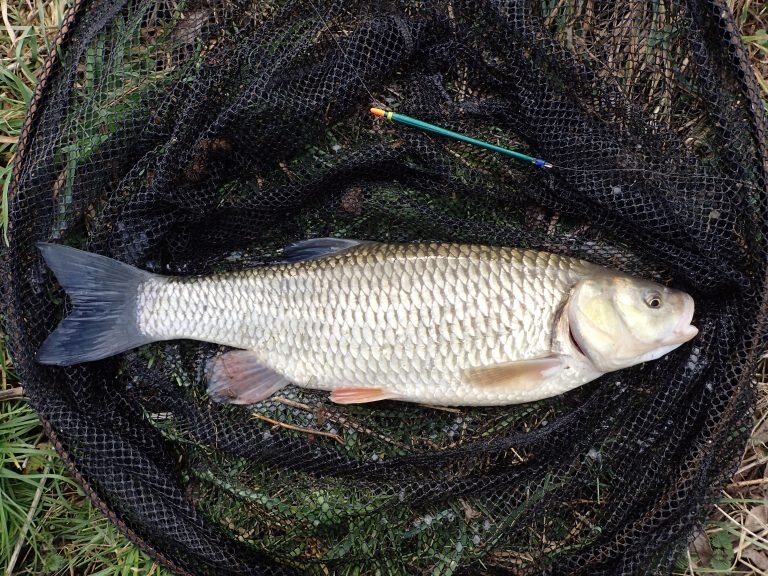 Поплавочная снасть