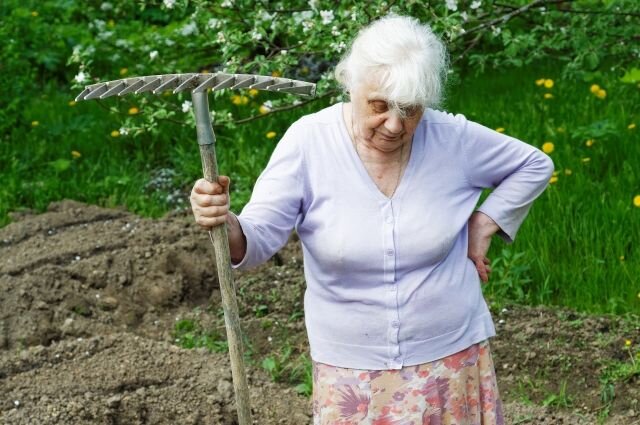 Бабушки знают, как побороть сорняки на огороде