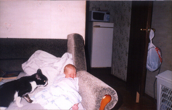 Вот здесь отчетливо видна пролысина на лапе. Через полгода ее не стало. Без лекарств и "родов для здоровья".