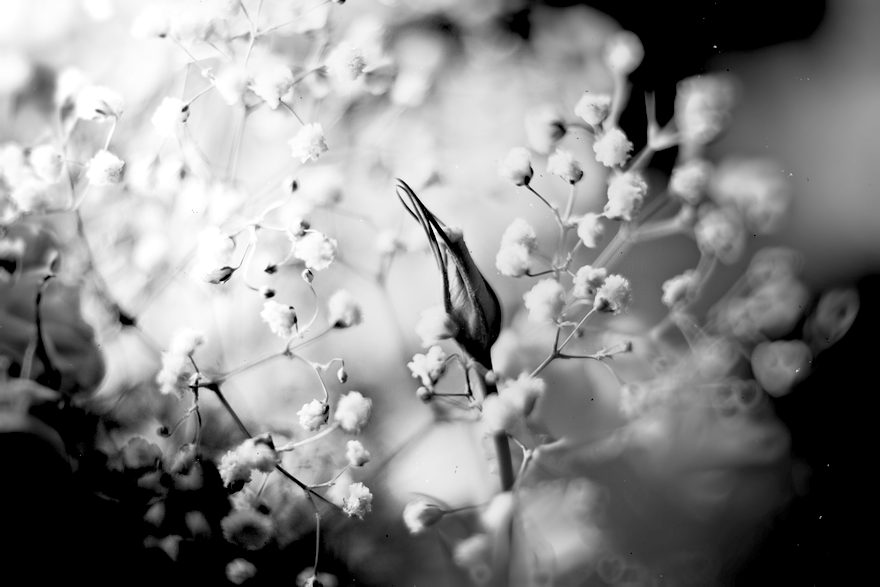 Ёдзё — неизреченное великолепие…