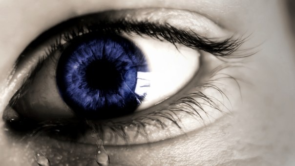 https://cdn.pixabay.com/photo/2016/02/19/12/45/eye-1210172__340.jpg