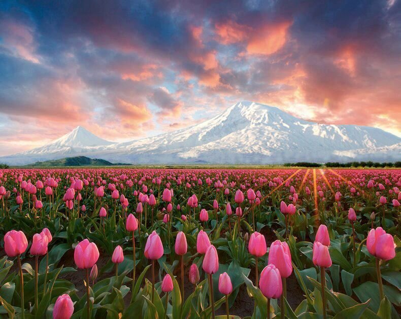 Гора Арарат