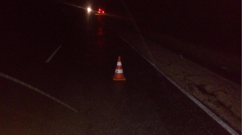 Фото: Госавтоинспекция Новосибирской области