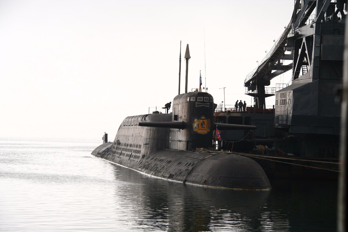 РПКСН К-44 Рязань. Построена в 1982 году, в 2011 - 2017 годах прошла ремонт и модернизацию. РПКСН II поколения. Вооружена 16 межконтинентальными баллистическими ракетами Р-29Р. Данная АПЛ прослужит в боевом составе флота до 2025 