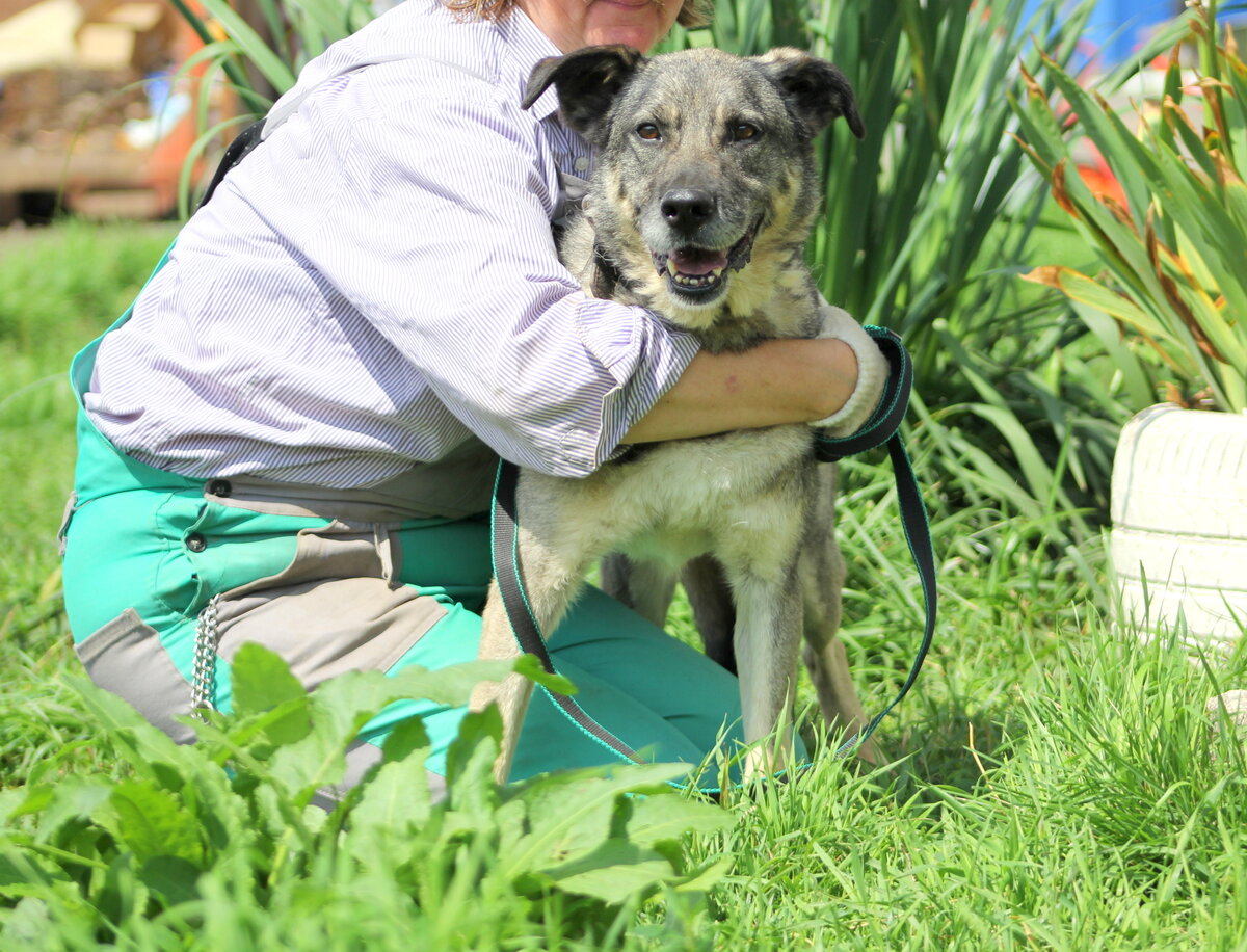Граун приют Солнцево