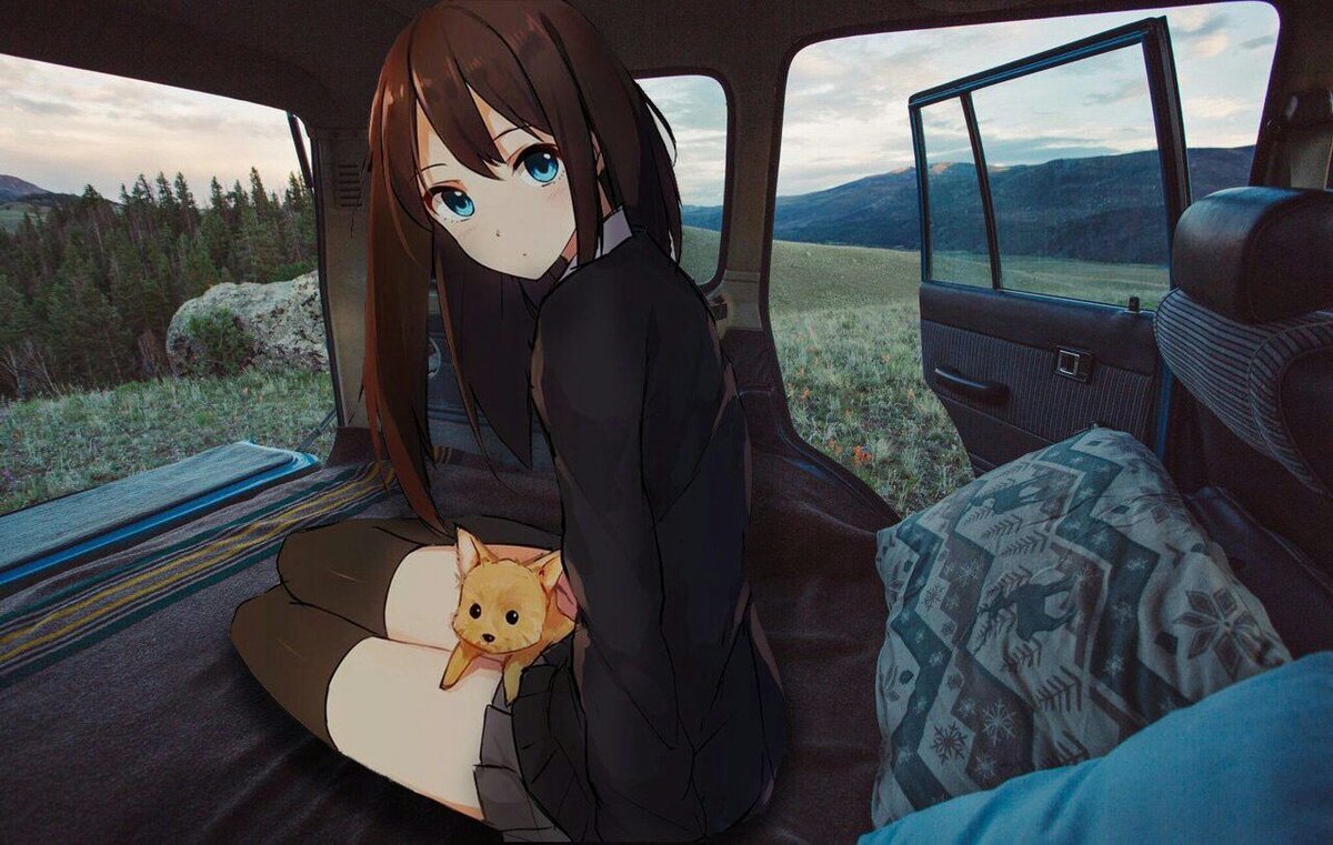 взята с Яндекс.Картинки 