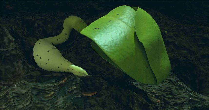 Чунцинский уневерситет