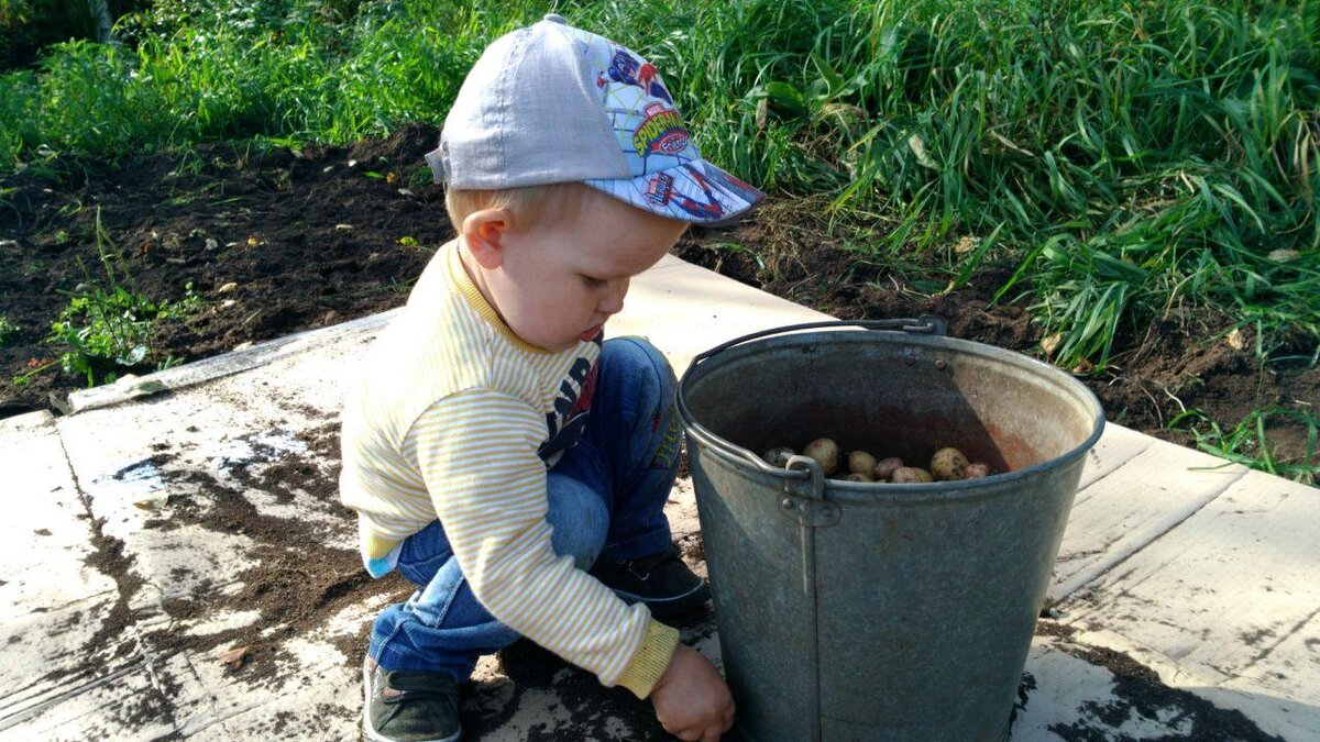 Левое полушарие начинает преобладать над правым полушарием в 6-7 лет. Если это происходит раньше или позже - это негативно влияет на развитие ребенка