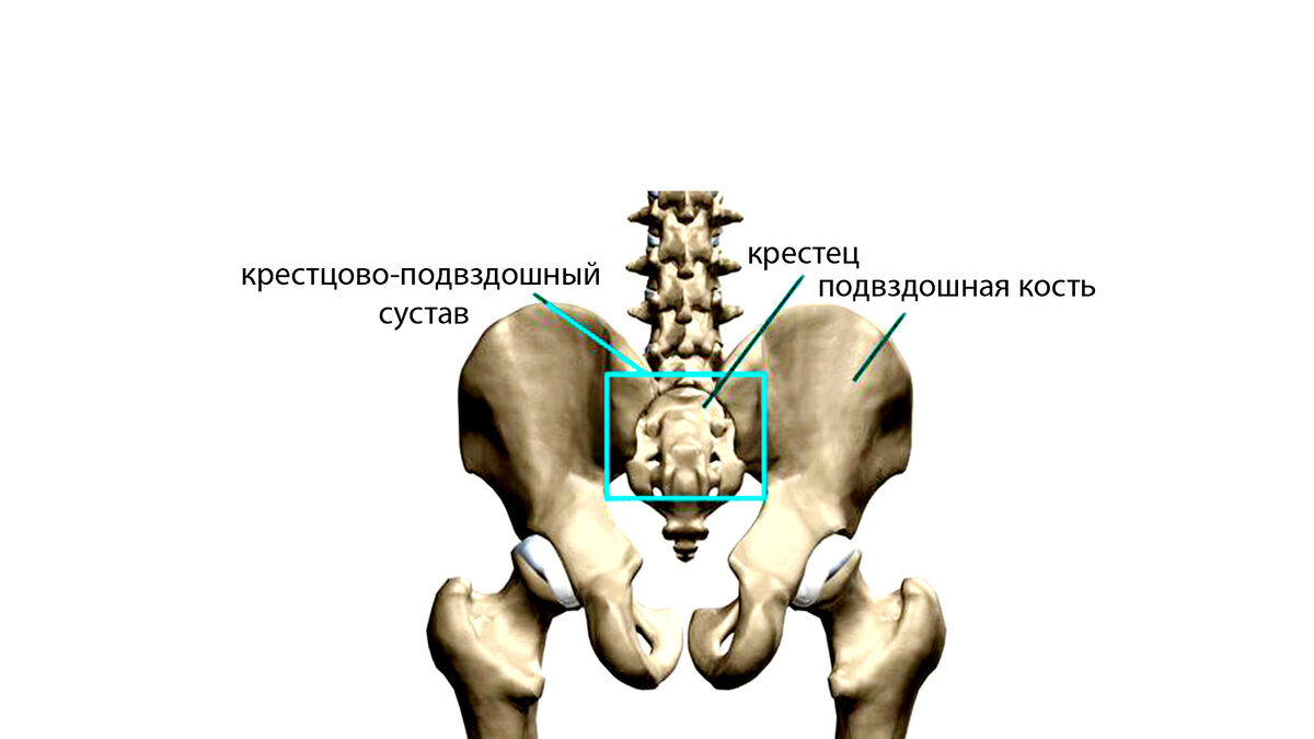 Крестцовые боли. Крестцово-подвздошный отдел позвоночника. Пояснично крестцовая область. Смещение крестцовой кости. Поясничнокрестовая зона.