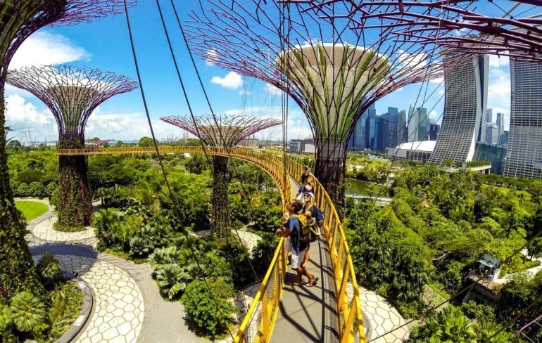 Деревья, на которых растут деревья - необычный парк в Сингапуре