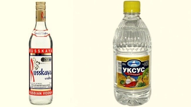 Фото взято из открытых источников 