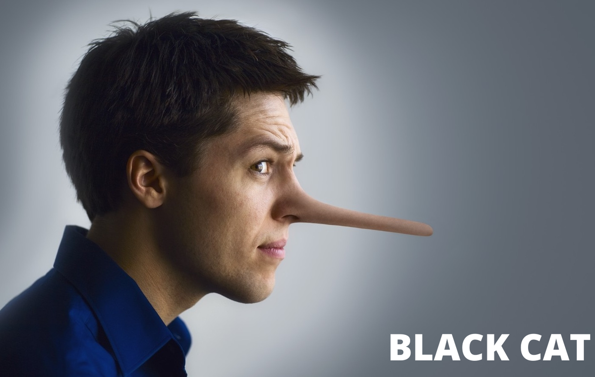 Фото из открытого источника