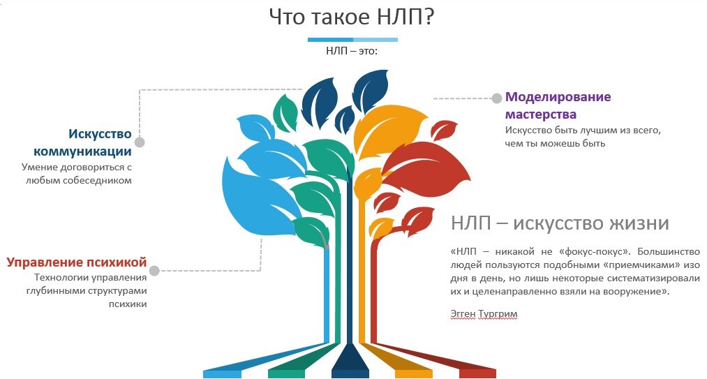 Нейрометодика. НЛП. Методика НЛП. Основные понятия НЛП. НЛП техники.