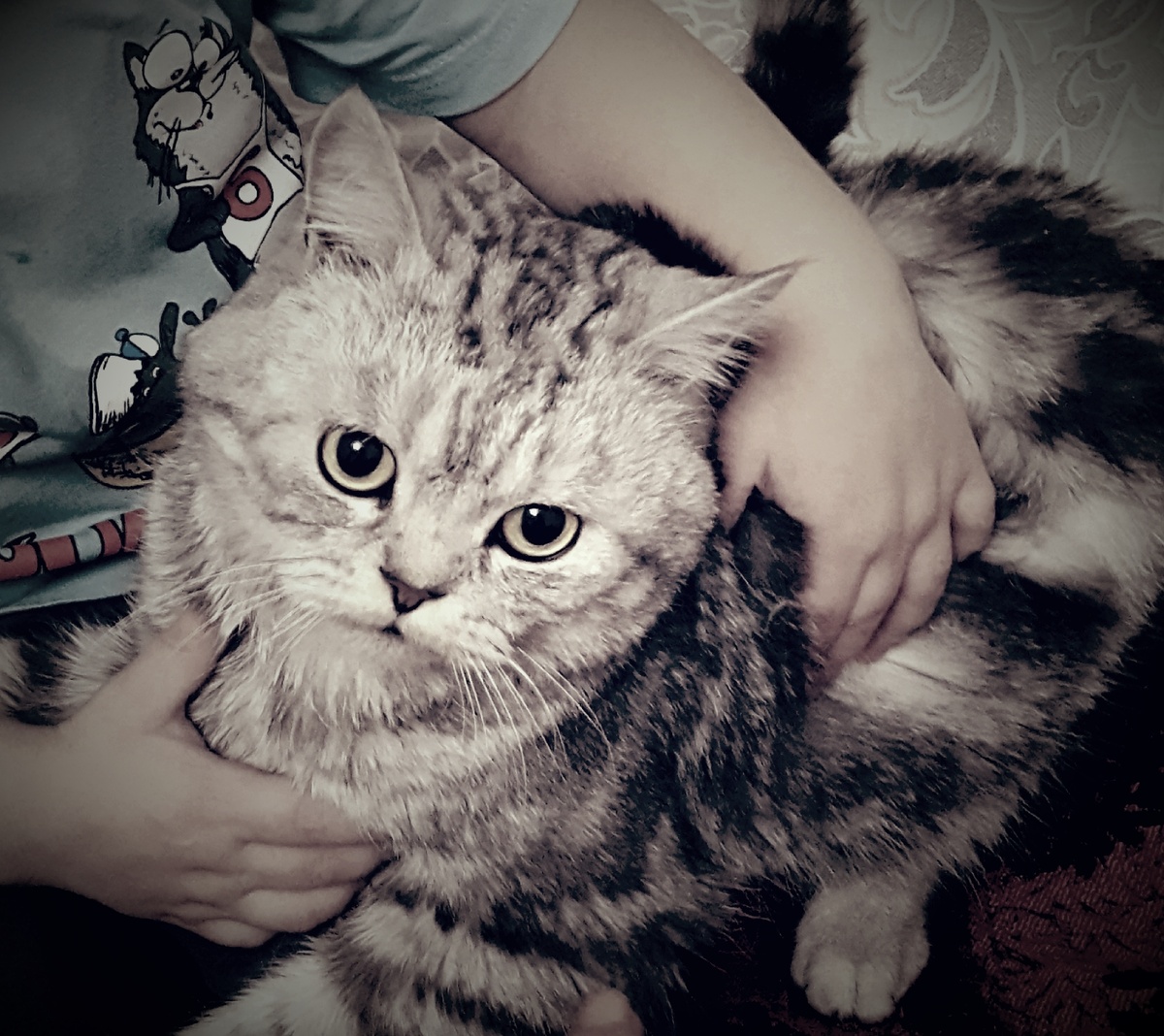 этот "пришелец"поможет укрепить брачные узы