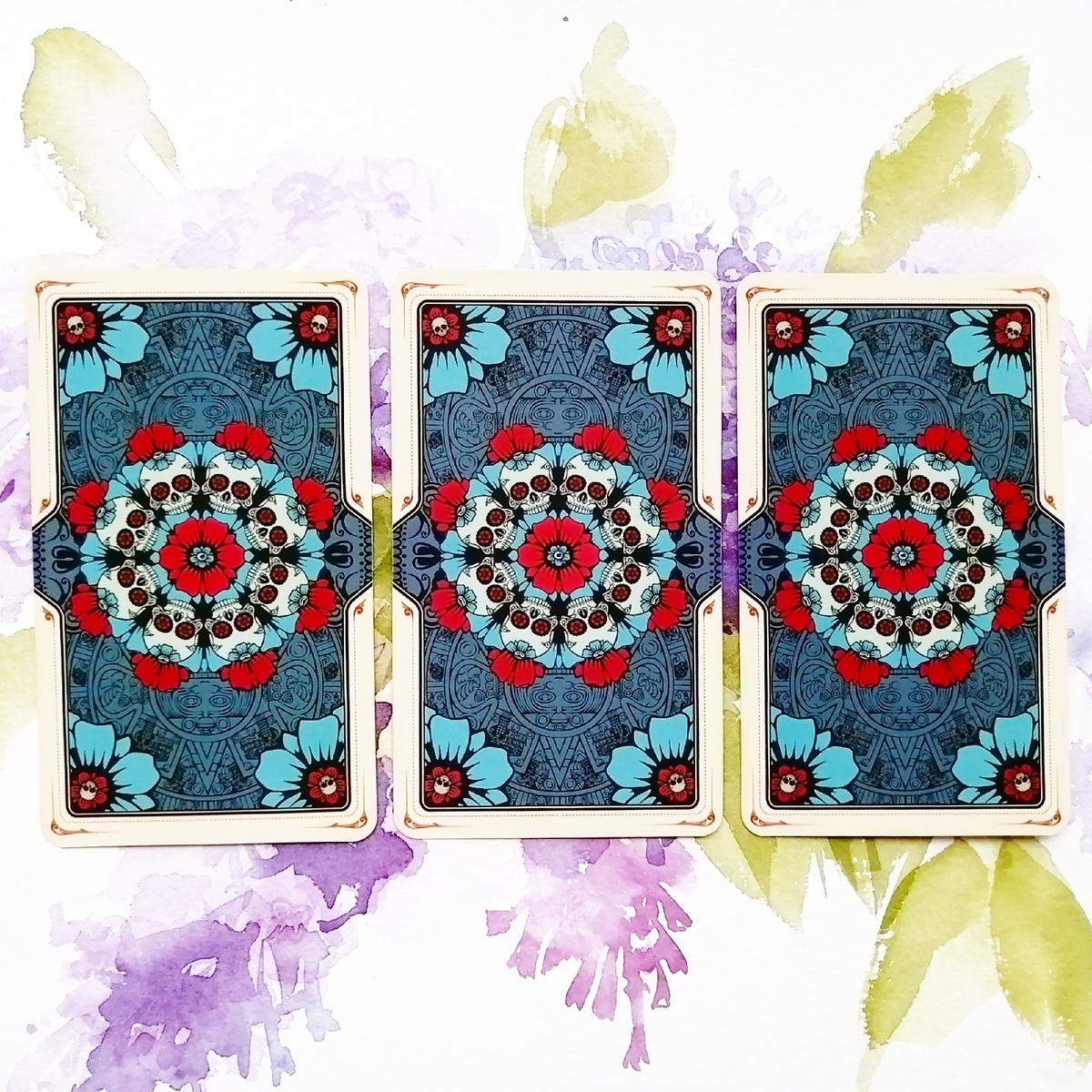 три варианта. Личное фото автора.