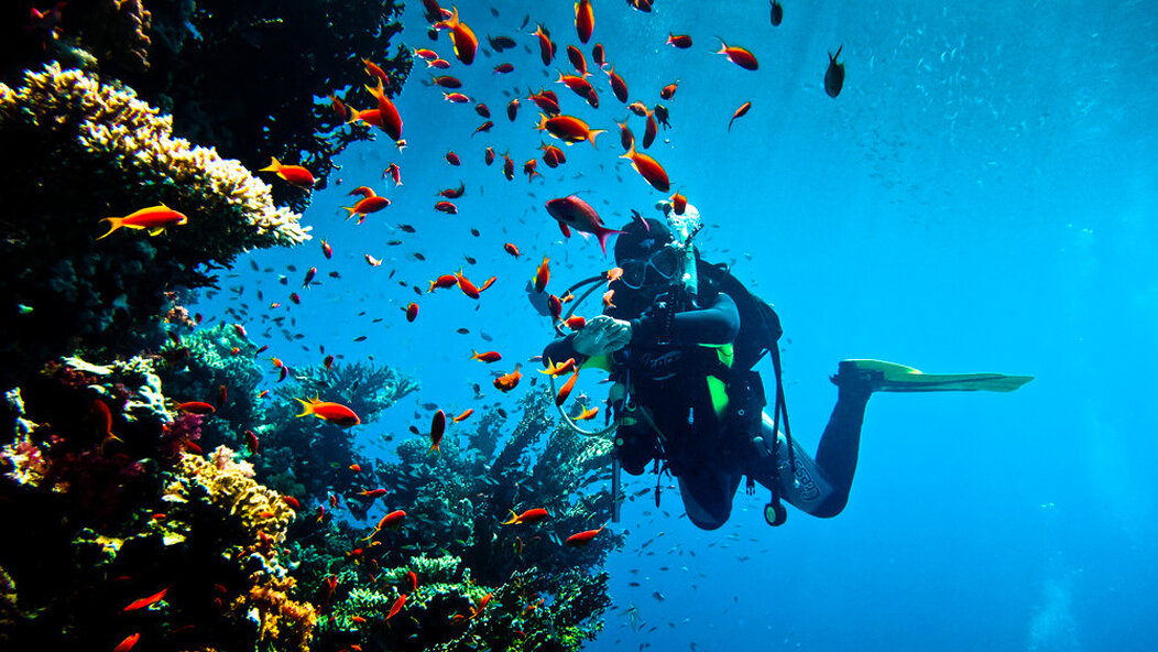 Sharm el Sheikh Diving