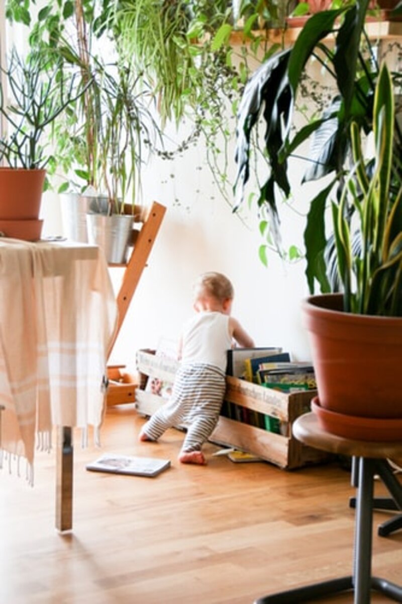 https://images.unsplash.com/photo-1533499966477-9333968a4e28?ixlib=rb-1.2.1&ixid=eyJhcHBfaWQiOjEyMDd9&auto=format&fit=crop&w=334&q=80