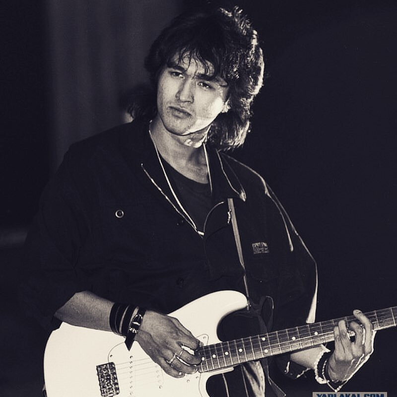 Фотография из открытых источников сети Интернет