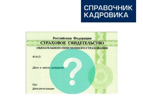 Ади рег снилс получить. Снилс карточка. Снилс как выглядит снилс. Как выглядит карточка снилс. Снилс юридического лица.