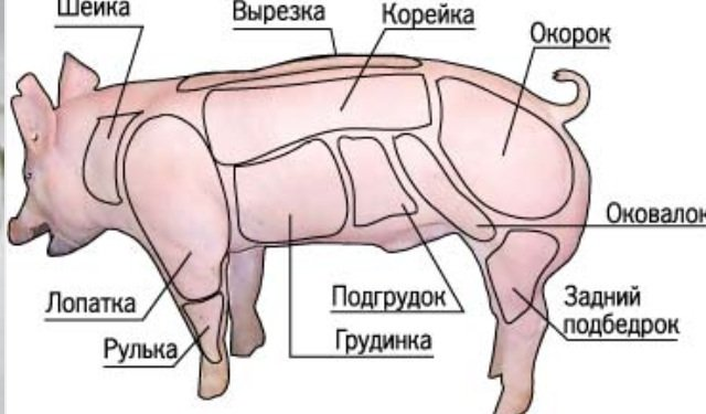 Фото из открытых источников.