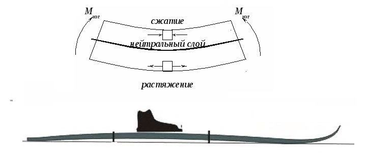 Распределение сжатия и растяжения в лыже