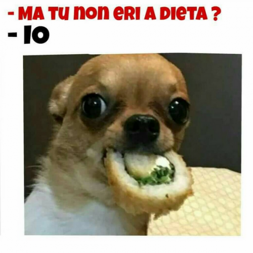 Фото: memescan.it