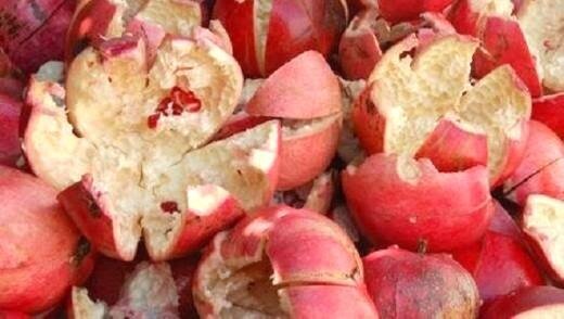 Корки граната 