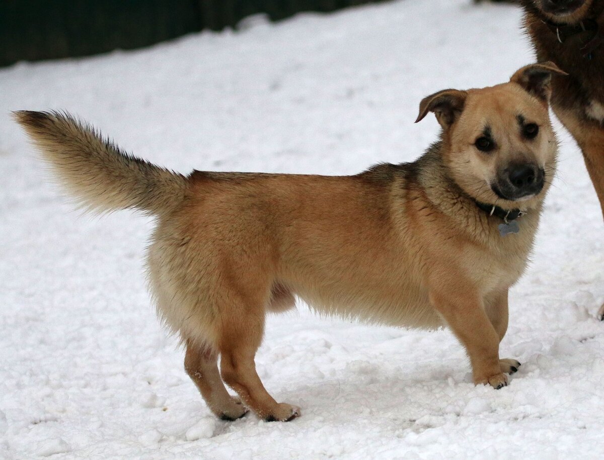 Рик - Банда Дворян