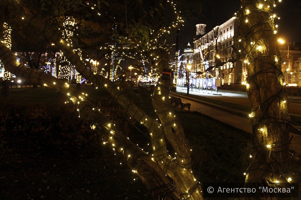 Источник: Агентство «Москва»