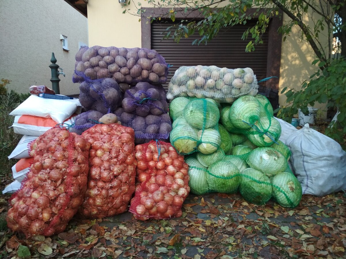 Круп хватает на год, а овощей до лета