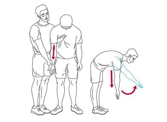 Взято с открытых источников.