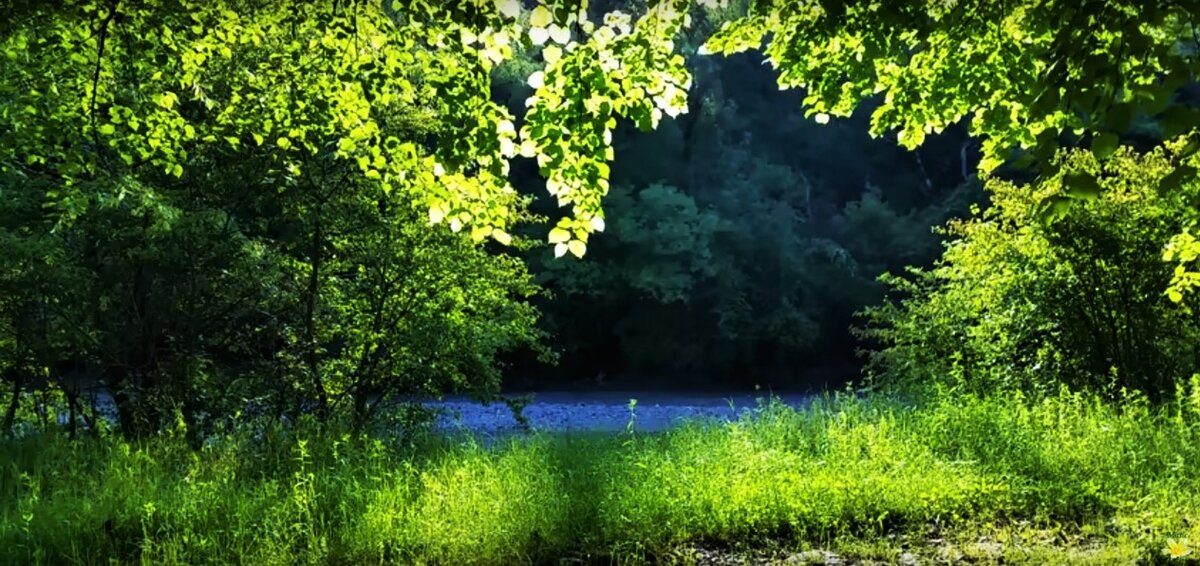 На пути в Финляндию: какую границу проходить быстрее?