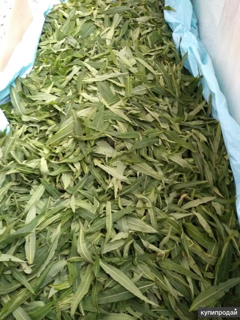 Фото из инета