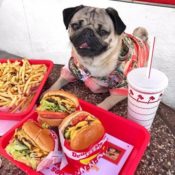 Фастфуд и его 