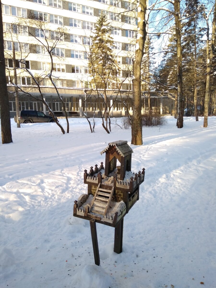 Территория санатория