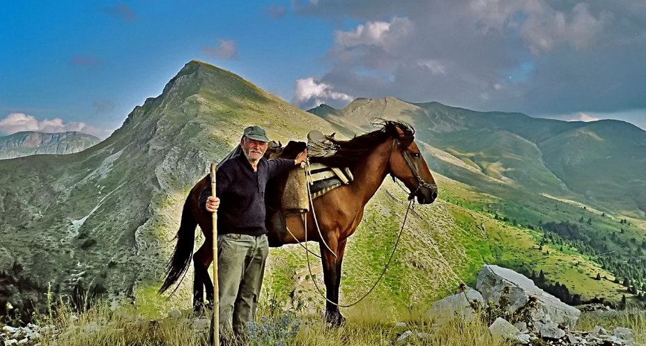 фото взято из открытых источников Яндекс поиска