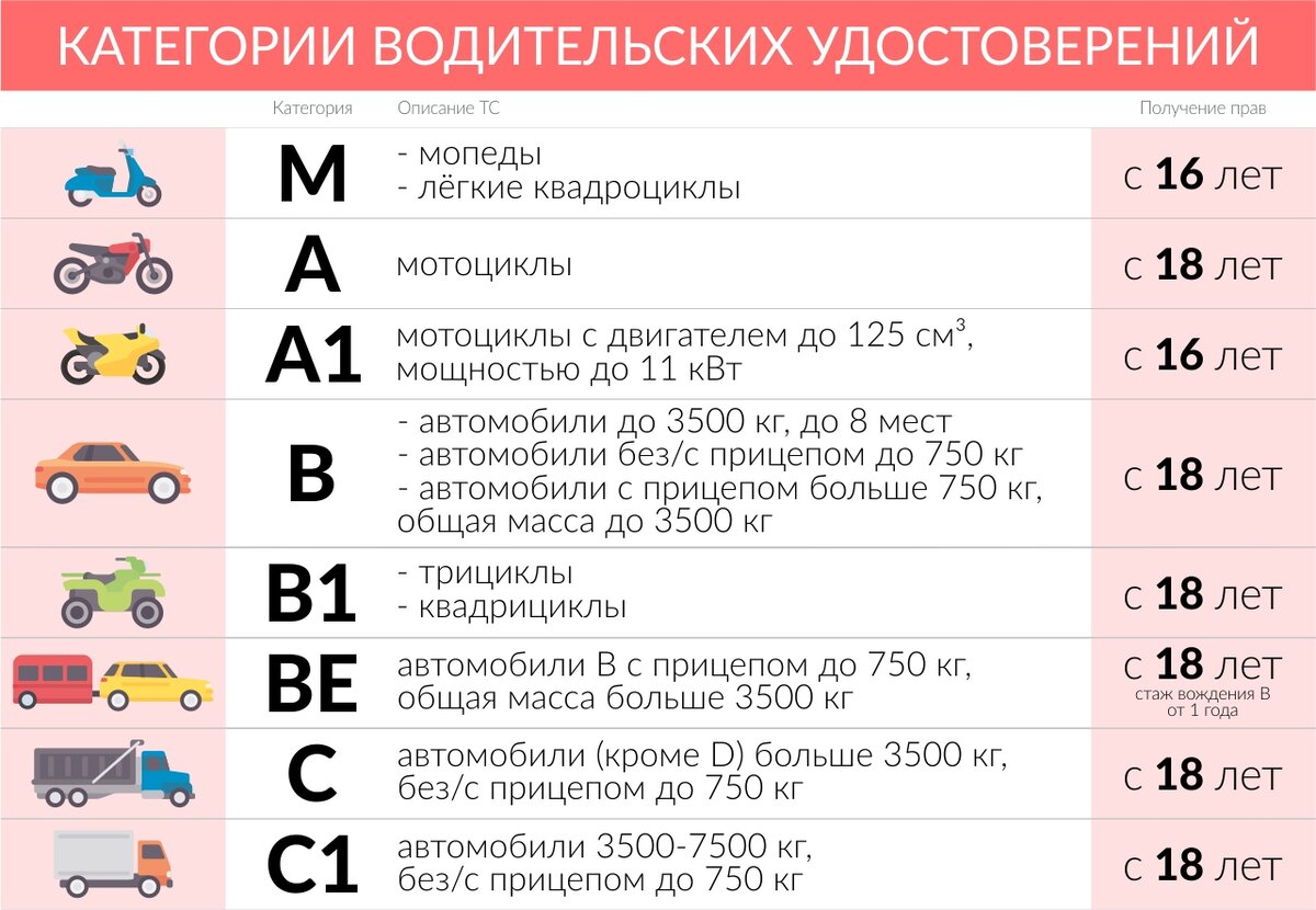 Как получить водительские права впервые? | Ответ.Санкт-Петербург | Дзен