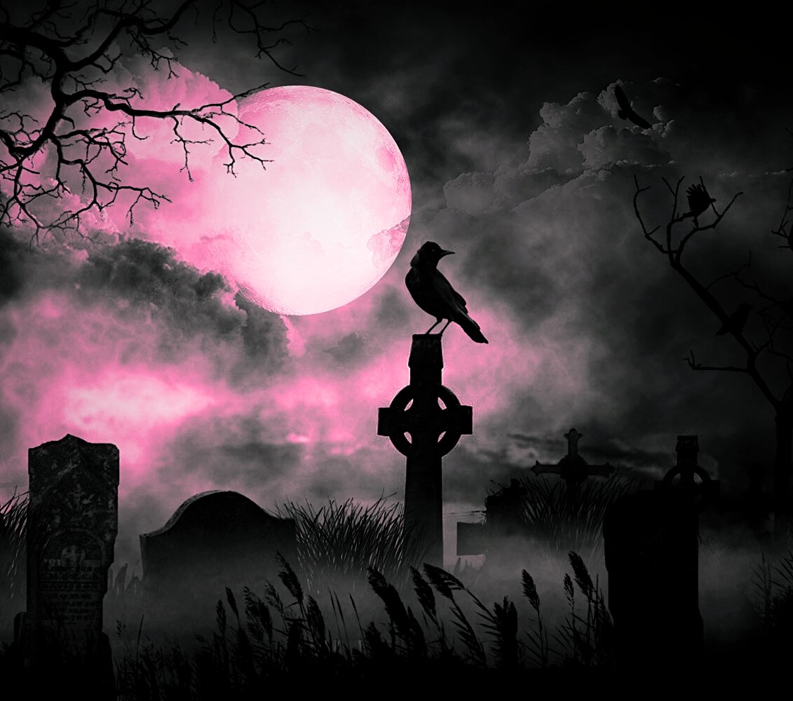 Фото из открытого источника