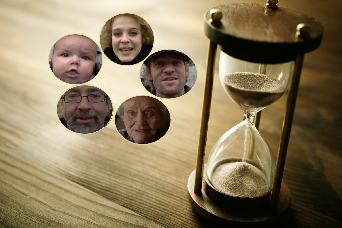 фото: коллаж