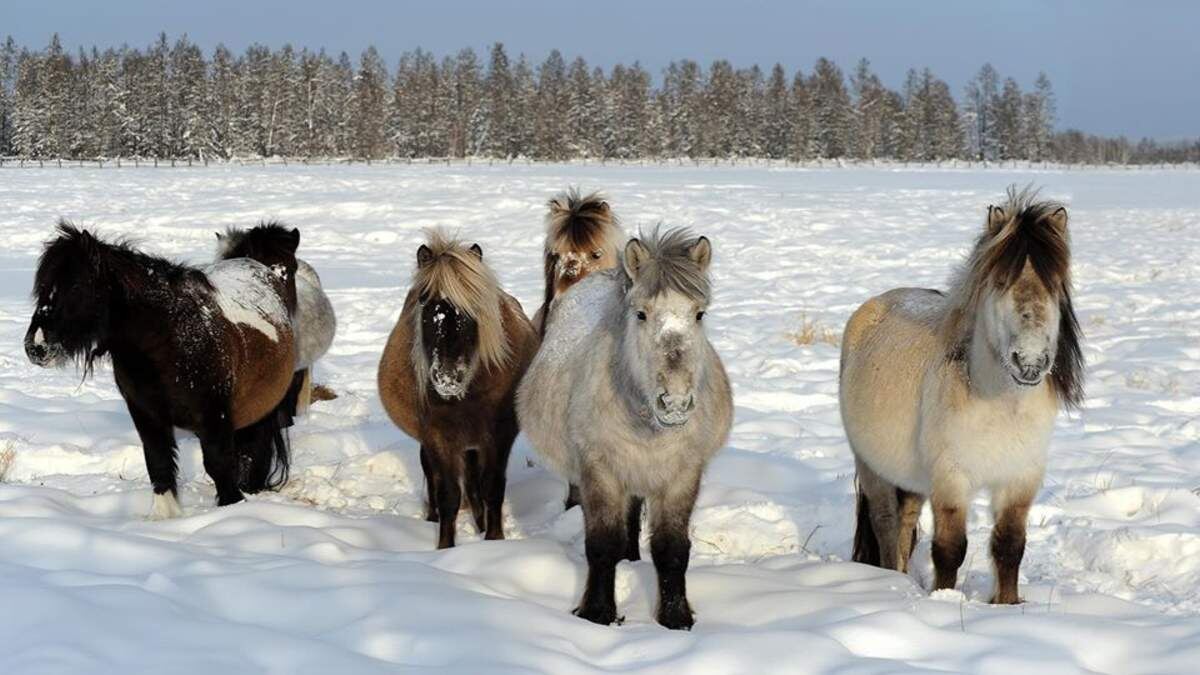 Фото пресс-службы Красноярского научного центра