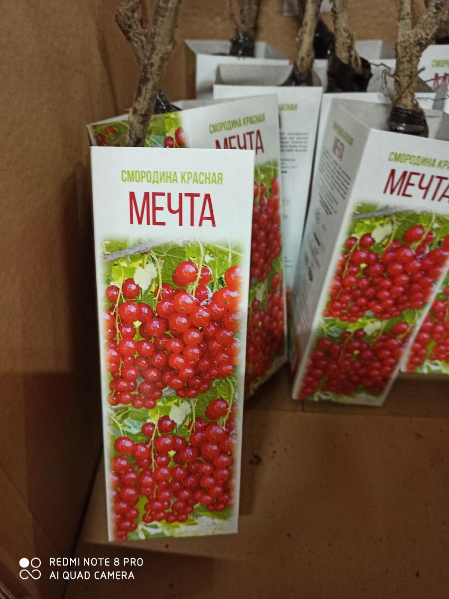 Фото из личного архива